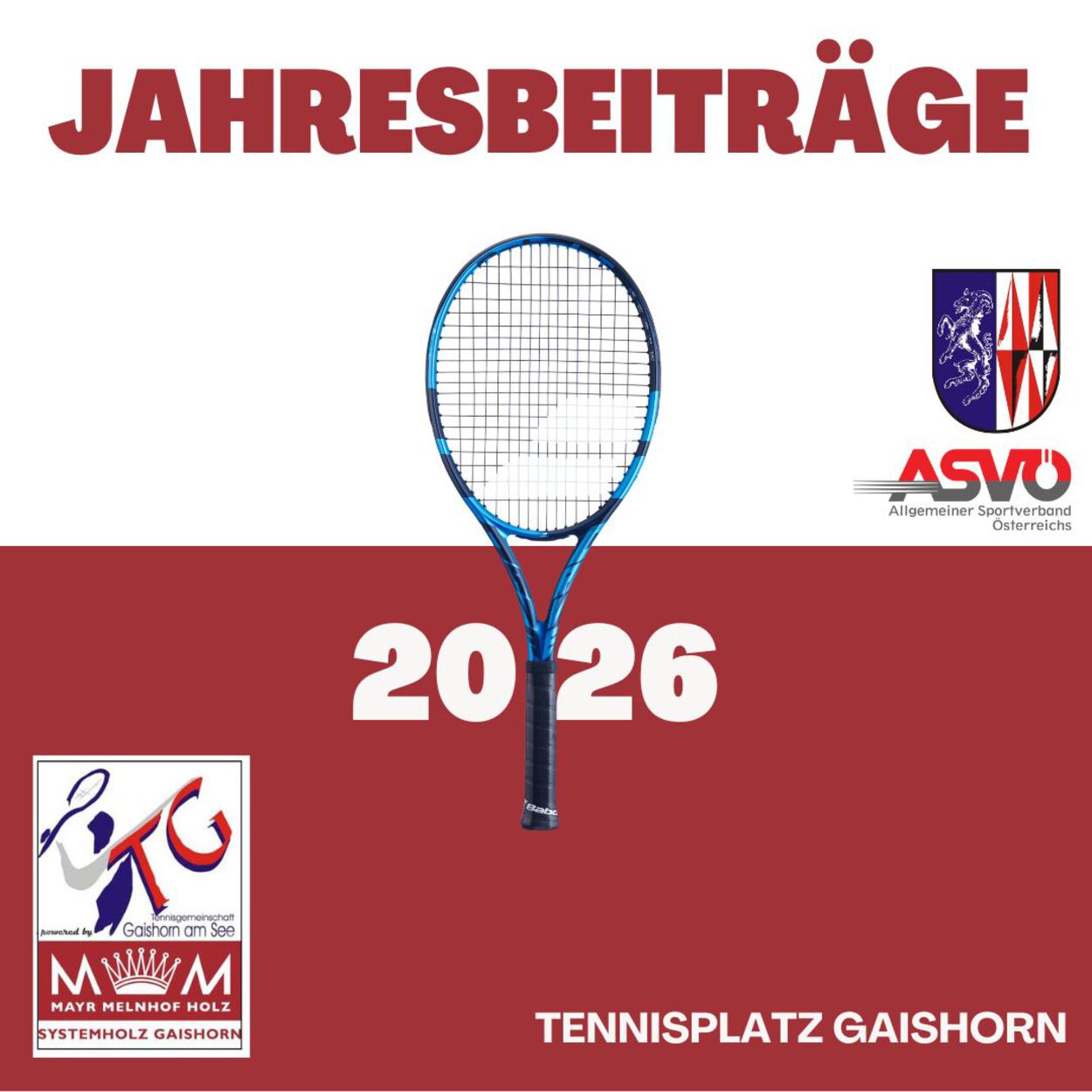 Jahresbeiträge 2026